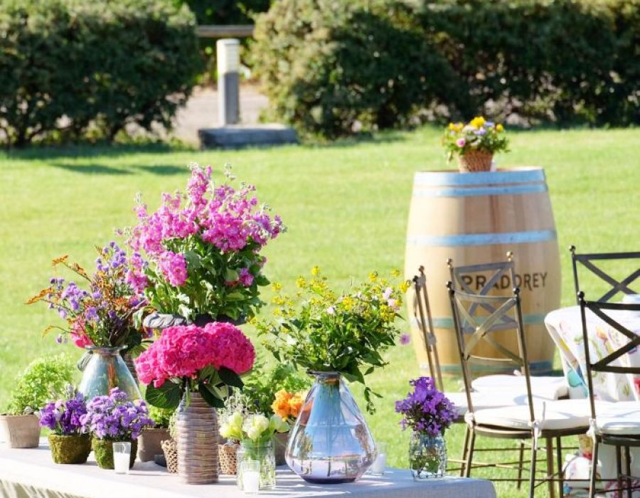 Curso de Ramos en Abanico